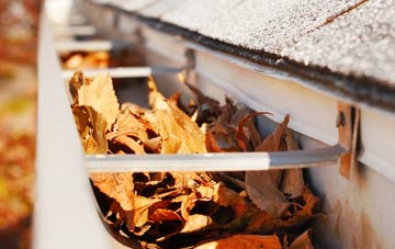 Newbigging gutter cleaning companies