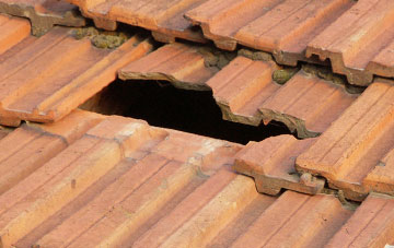 roof repair Newbigging